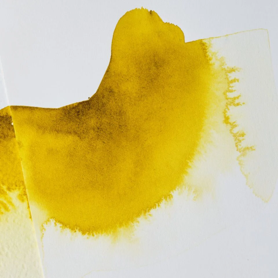 Winsor & Newton Ox Gall Liquid - Image 3
